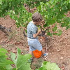 De Ferme En Ferme - Narbonnais, Corbieres-Minervois - Château De Saint Estève