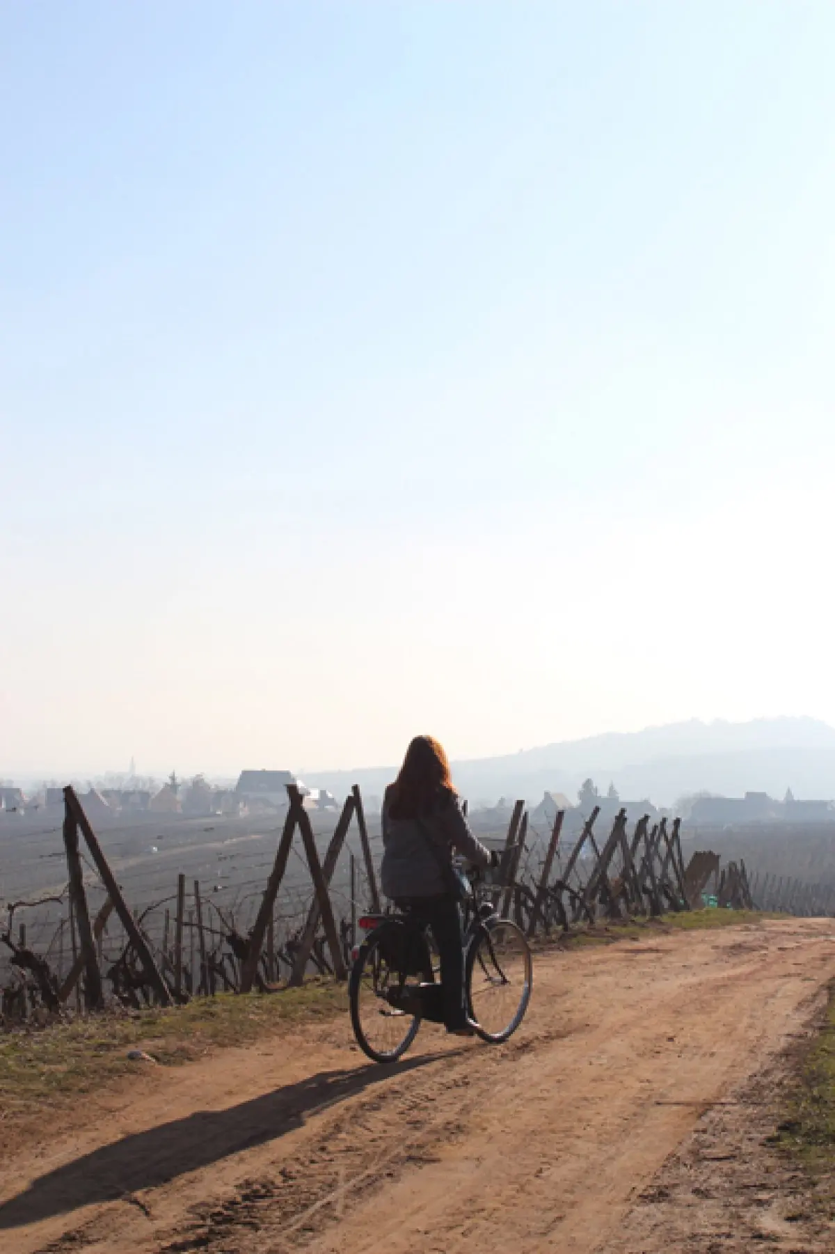 De jolis coins à découvrir sur la Route des Vins