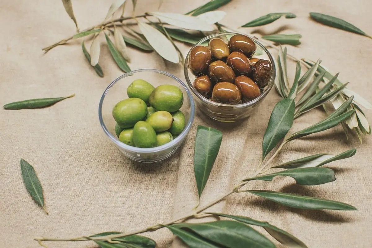 De L'Olive à Lhuile : Partons à La Découverte D'Une Production Biologique