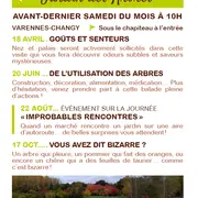 De l'utilisation des arbres