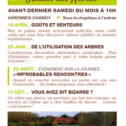 De l'utilisation des arbres