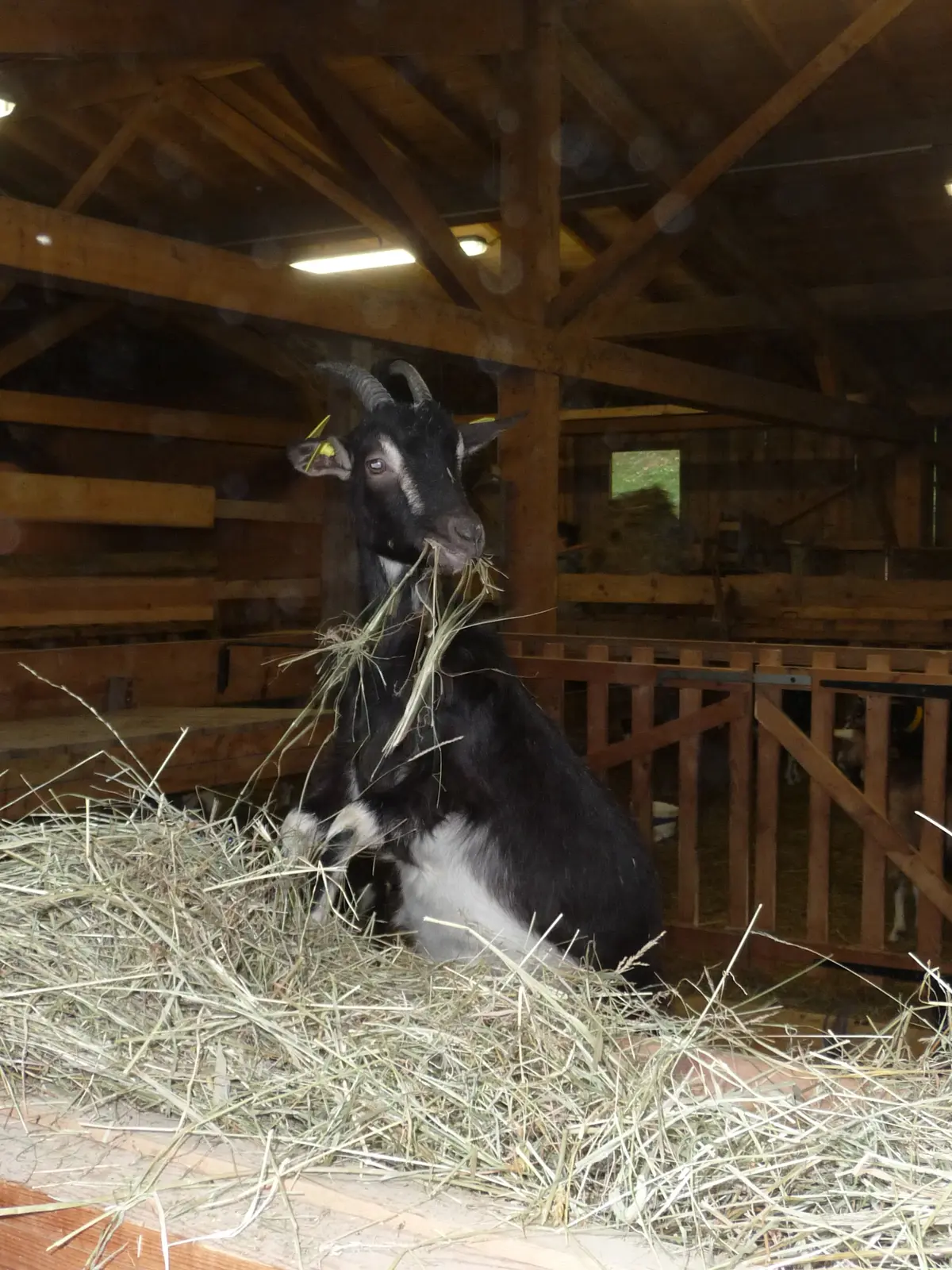 De la ferme au fromage