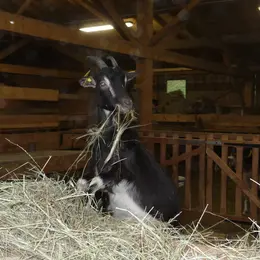 De la ferme au fromage