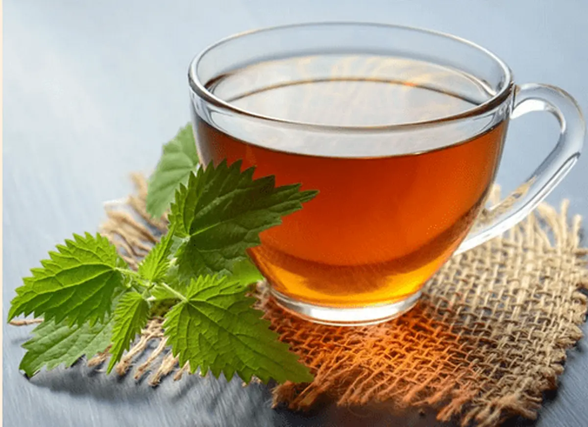 De la plante à l’infusion : j’apprends à faire es tisanes
