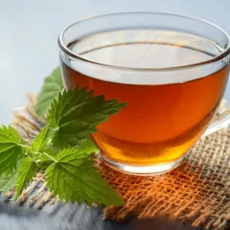 De la plante à l’infusion : j’apprends à faire es tisanes