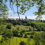 De la vigne au caveau du domaine Pignier