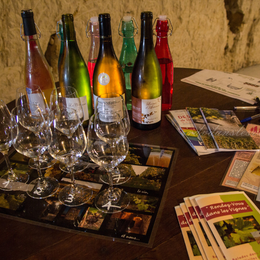 De la vigne au verre de vin
