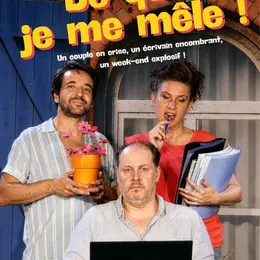 De quoi je me mêle ?
