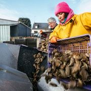 « De sel et de vie, femmes de la mer » - Exposition photographique