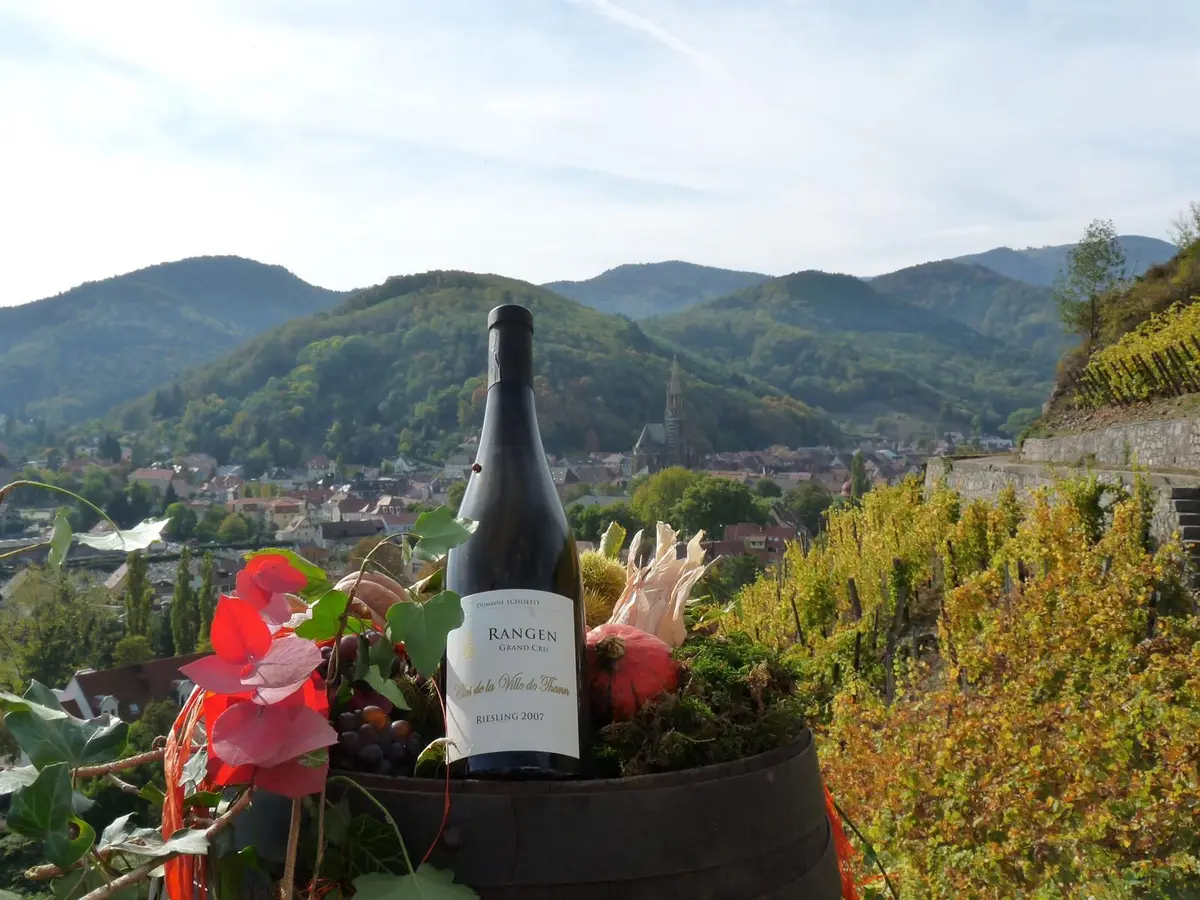 Vignobles en Scène Alsace : création de votre étiquette de vins