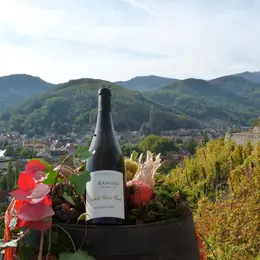 Vignobles en Scène Alsace : création de votre étiquette de vins
