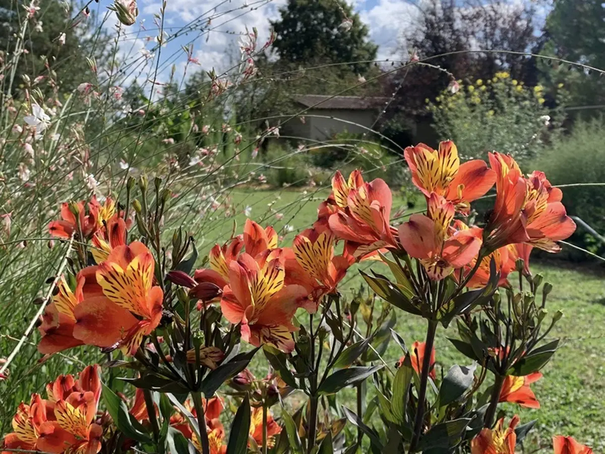 Déambulation dans un jardin extraordinaire