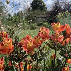 Déambulation dans un jardin extraordinaire