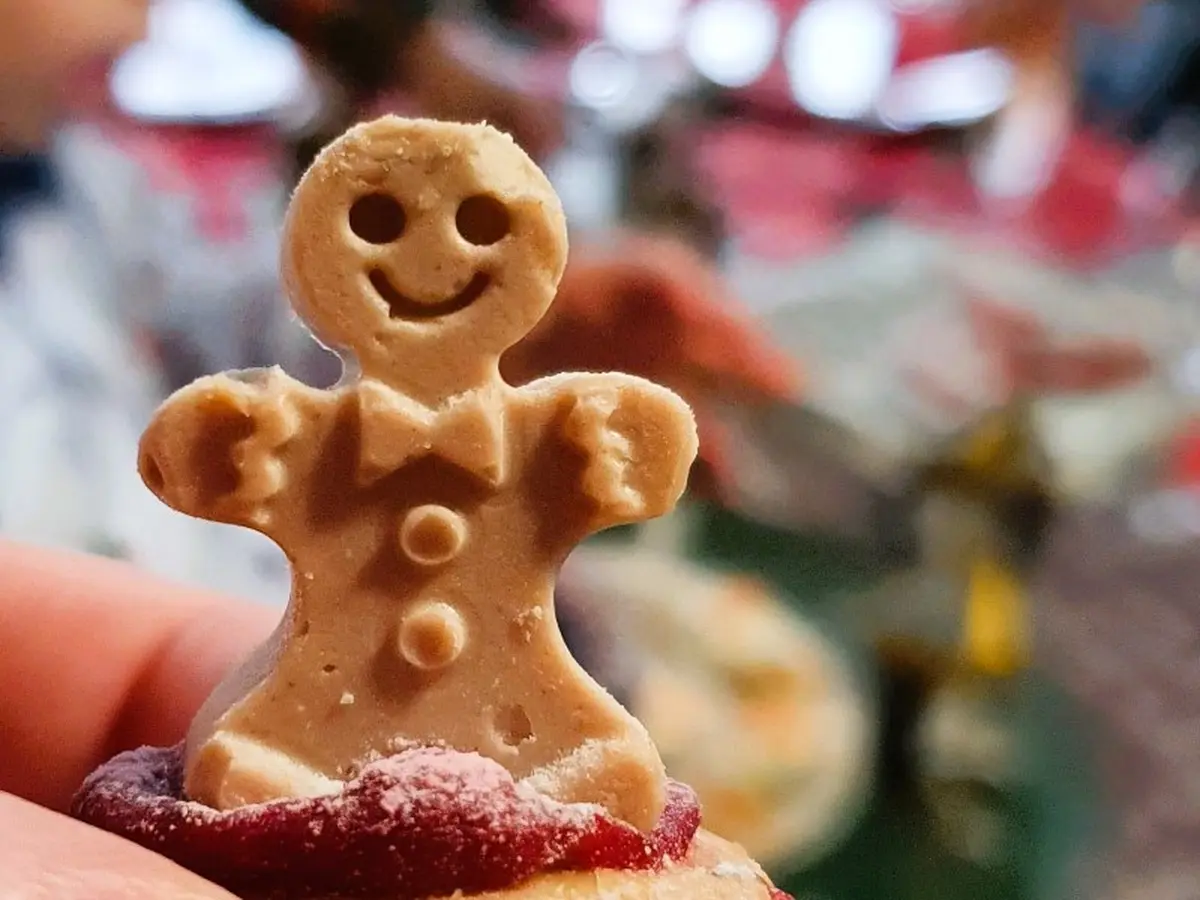 Décoration de biscuits de Noël au coin du feu (en famille)