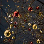 Décoration des sapins de Noël
