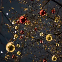 Décoration des sapins de Noël