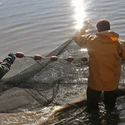 Découverte commentée d'une pêche d'étang