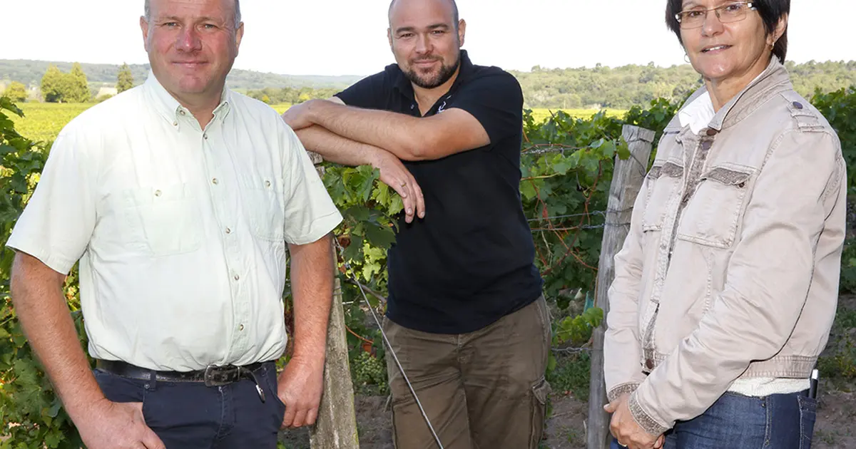 Découverte commentée du vignoble en calèche