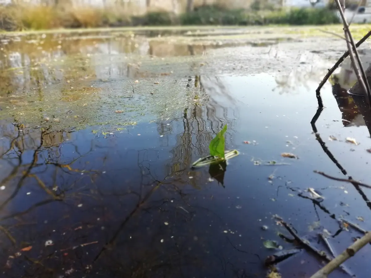 Découverte d'Orbec au fil de l'eau