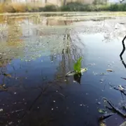 Découverte d'Orbec au fil de l'eau