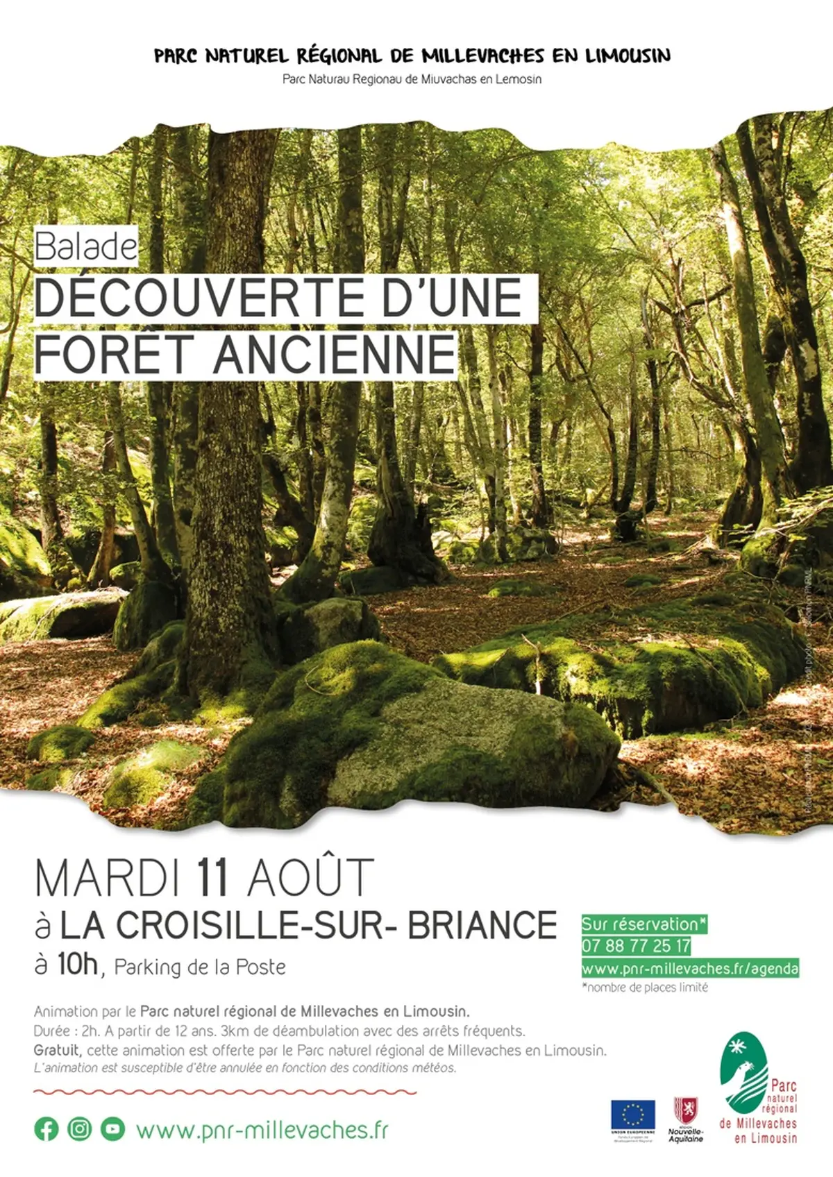 Découverte d'une forêt ancienne