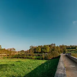 Découverte d’une zone humide en plein cœur de ville