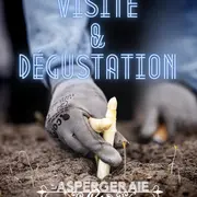 Découverte de l'aspergeraie