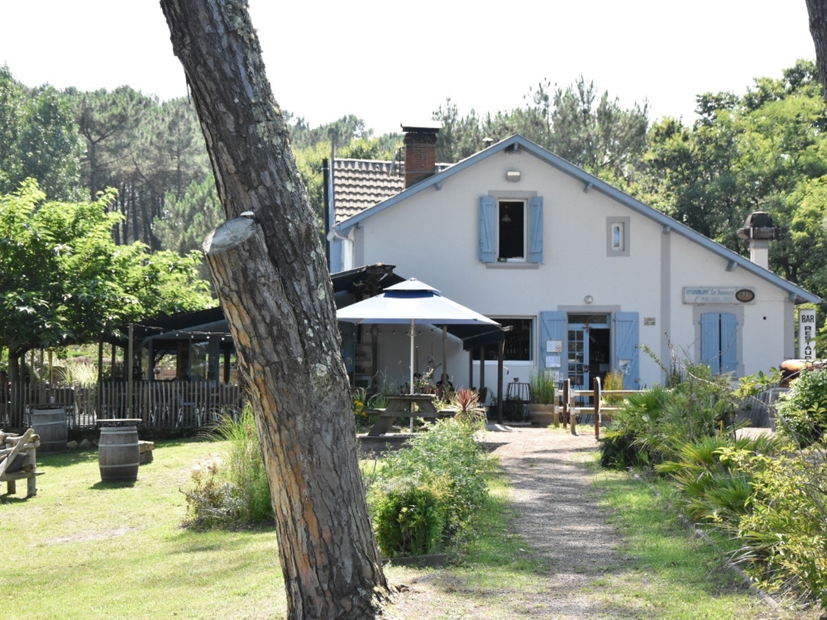 Découverte de l'étang blanc en barque dans l'univers des pêcheurs et chasseurs