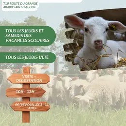 Découverte de la bergerie de Sarah : Visite & Dégustation