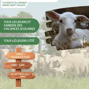 Découverte de la bergerie de Sarah : Visite & Dégustation