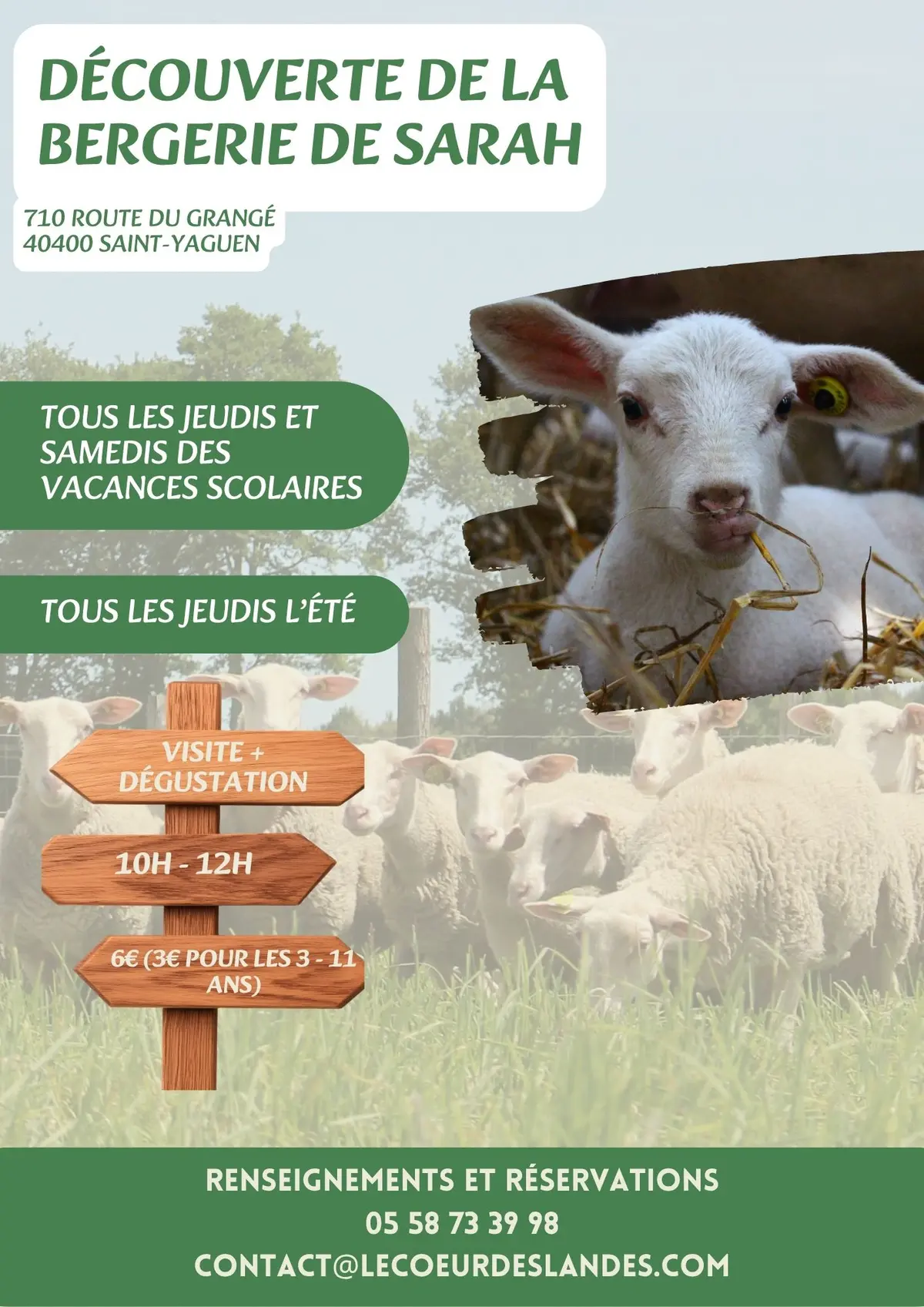 Découverte de la bergerie de Sarah : Visite & Dégustation