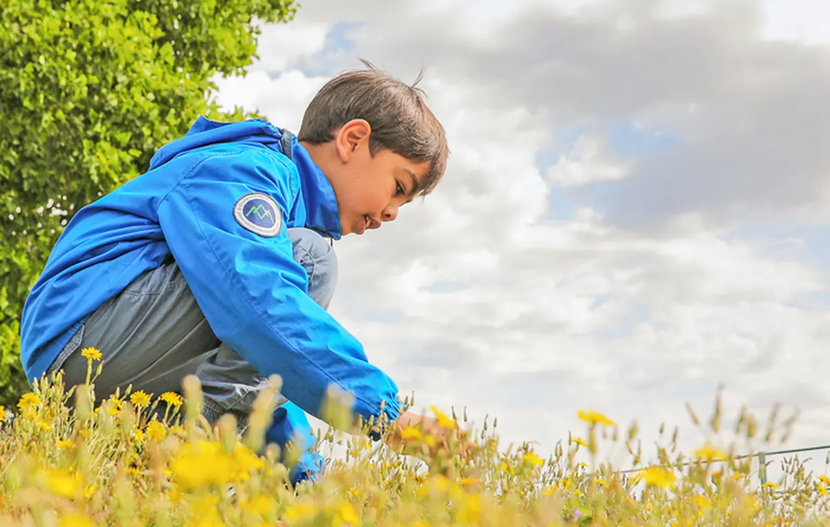 Découverte de la biodiversité