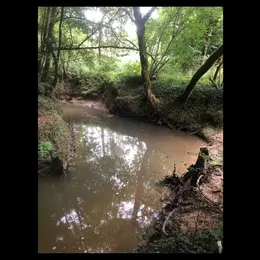 Découverte de la biodiversité au fil de l'eau