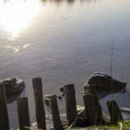 Découverte de la biodiversité des bords de Garonne