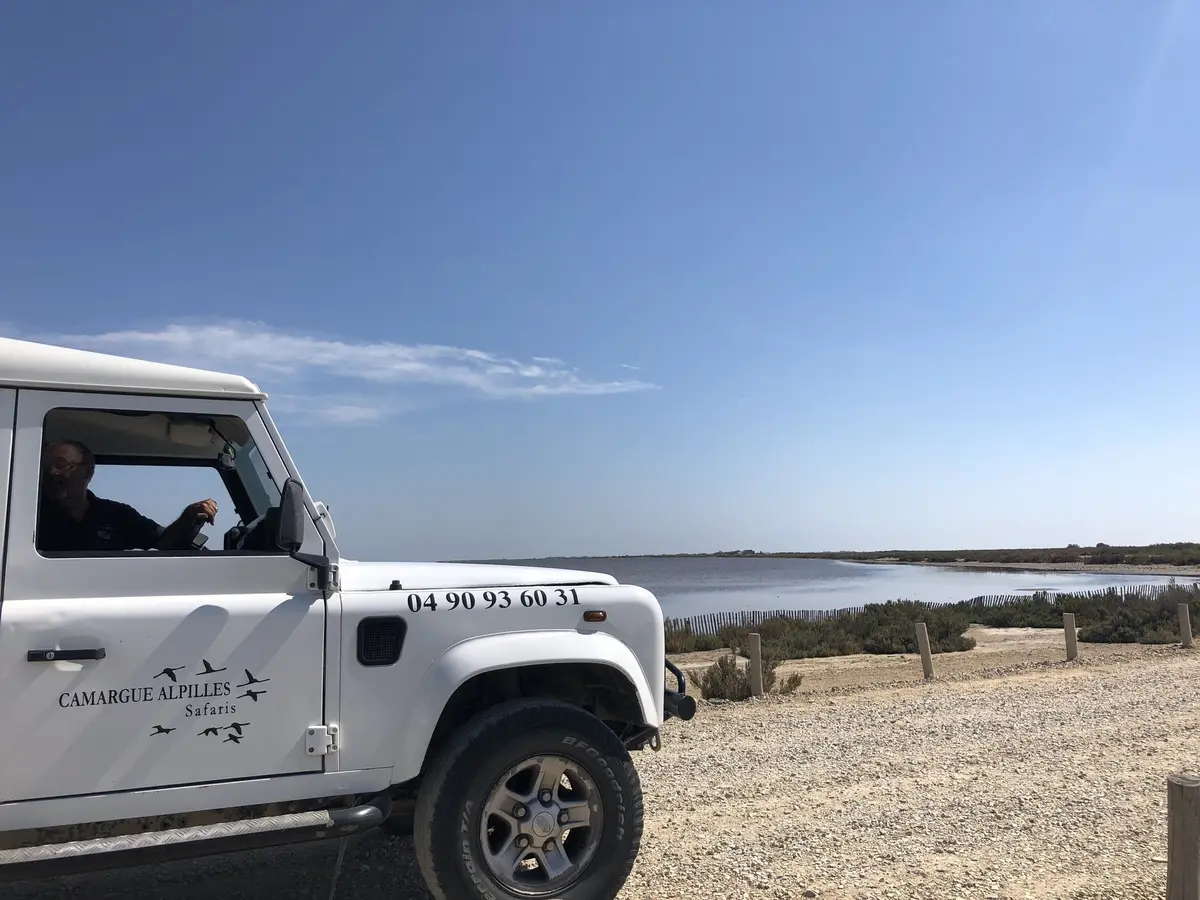 Découverte de la Camargue en 4X4 avec Camargue Alpilles  Safari