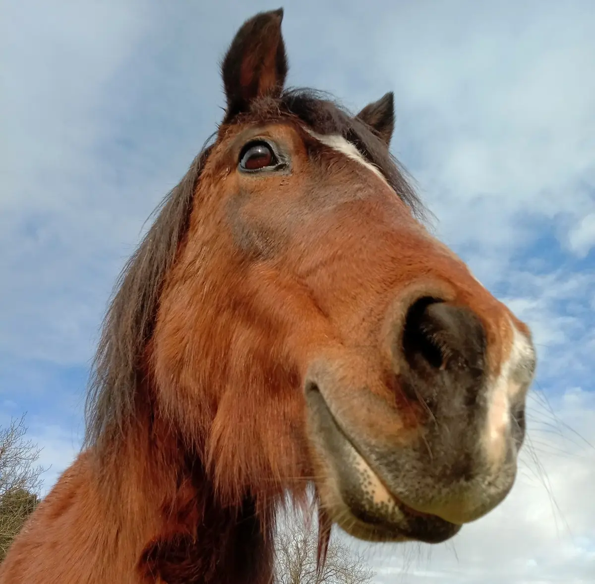 Découverte de la ferme Equi'Complice