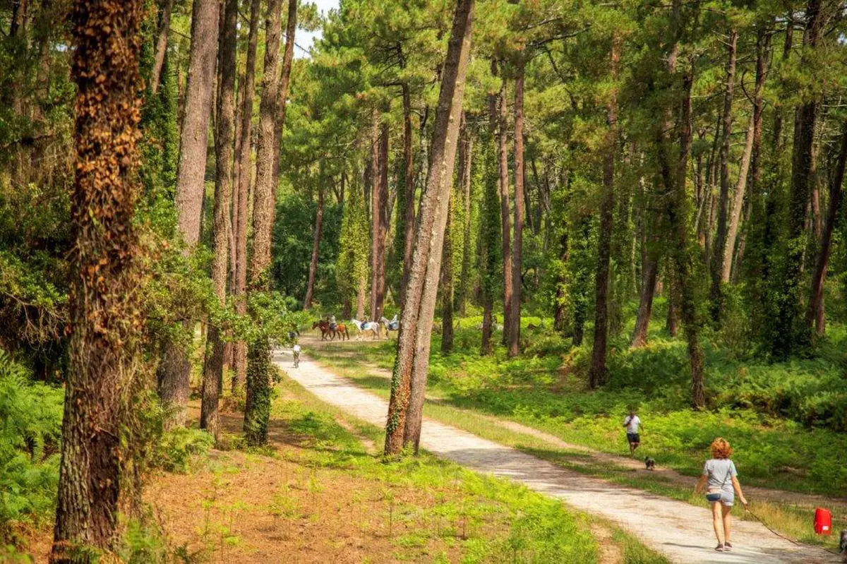 Découverte de la forêt du Pignada