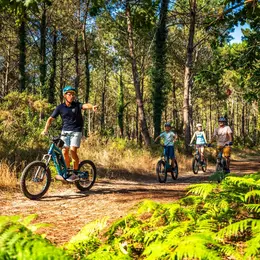 Découverte de la froêt en trottinette électrique
