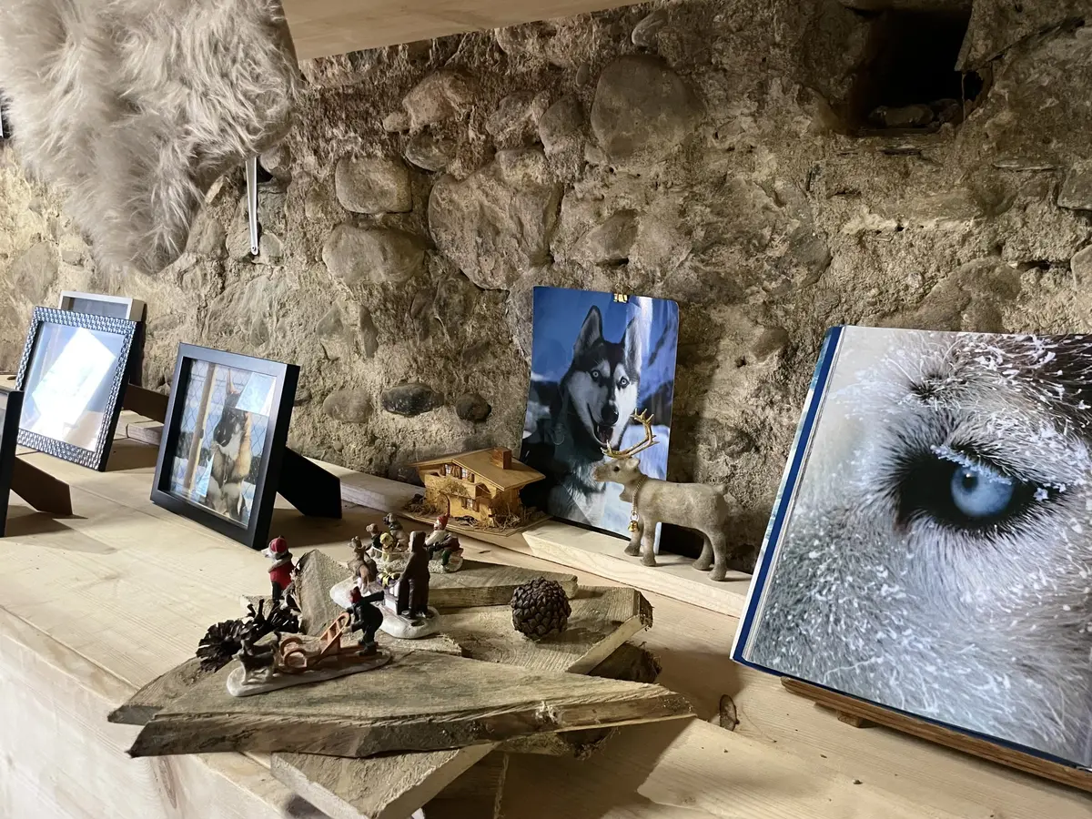 Découverte de la grange du musher