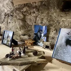 Découverte de la grange du musher
