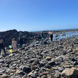 Découverte de la pêche à pied