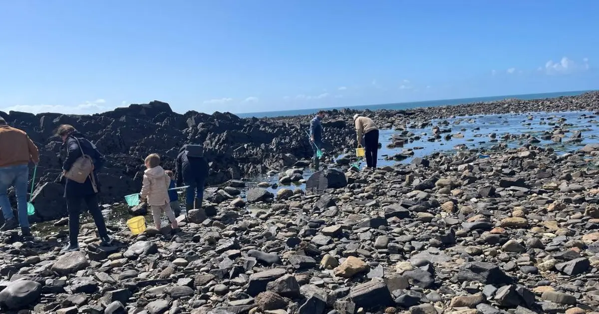 Découverte de la pêche à pied
