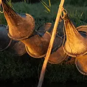 Découverte de la pêche aux anguilles sur l'étang du Vaccarès