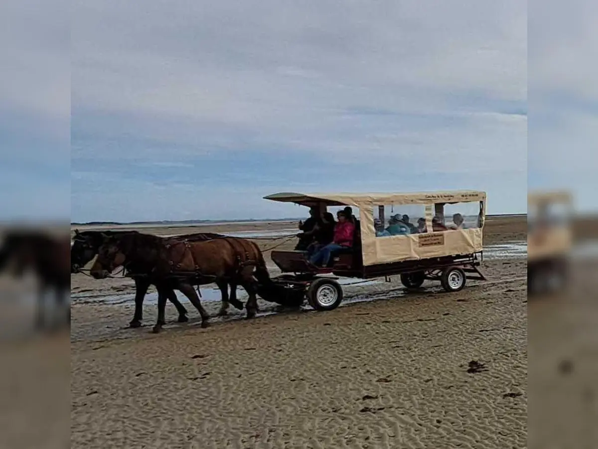 Découverte de la Pêcherie La Maillard en calèche