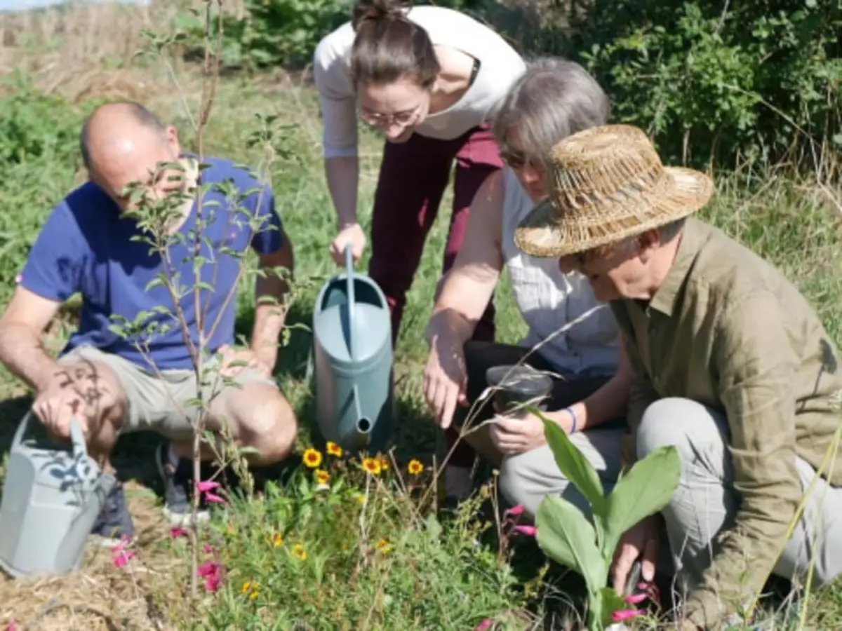 Découverte de la permaculture au Fossat (09)
