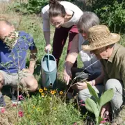 Découverte de la permaculture au Fossat (09)