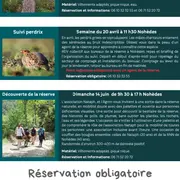 Découverte De La Réserve