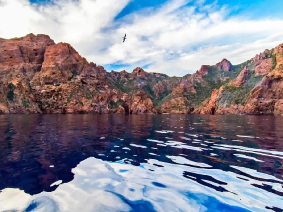 Découverte de la réserve de Scandola et Piana en bateau (20)