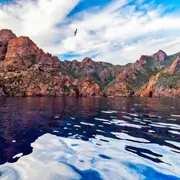 Découverte de la réserve de Scandola et Piana en bateau (20)