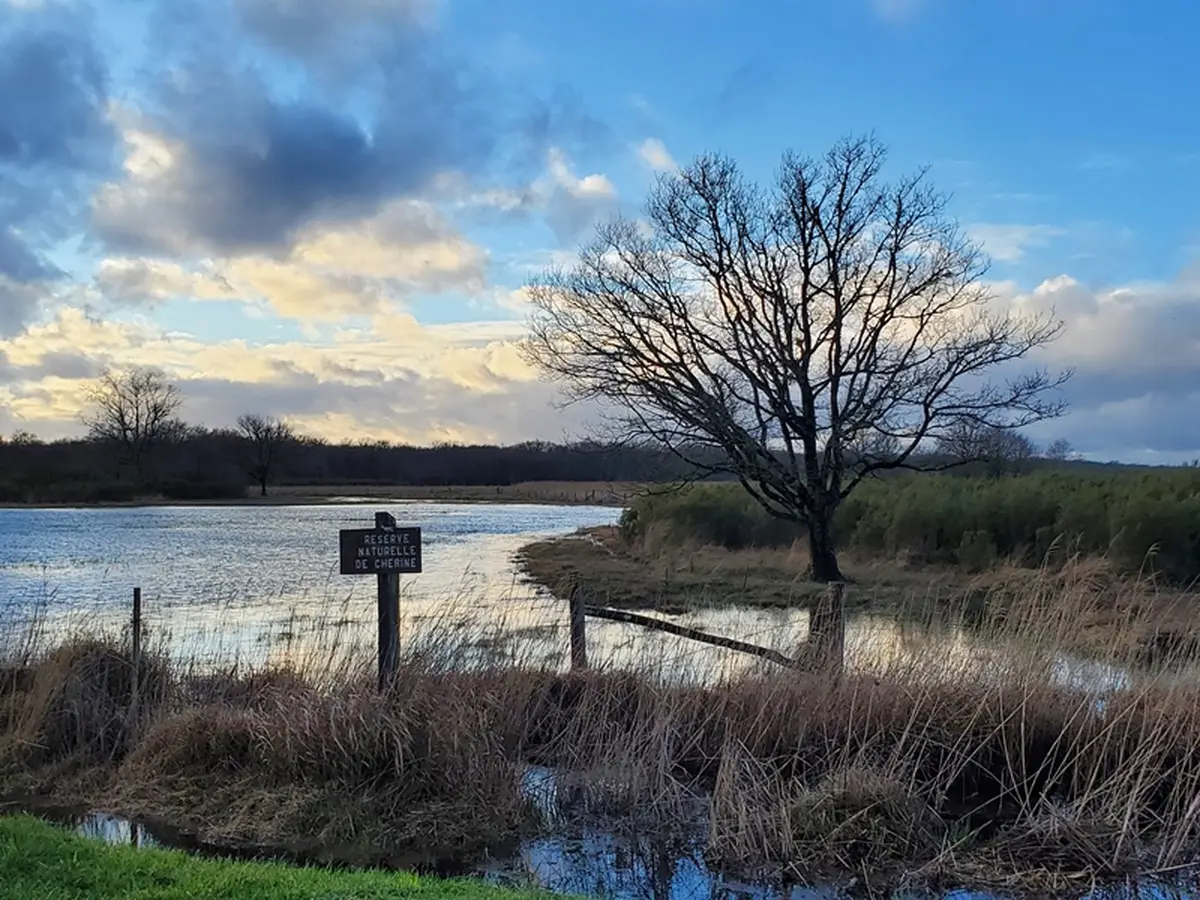 Découverte de la Réserve naturelle de Chérine